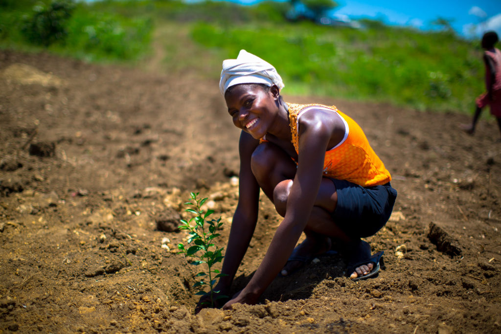 sustainable investing one tree planted